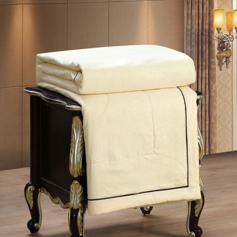 Double Palace Cocoon Mulberry Silk 100% Long Thread Spring and Autumn Quilt