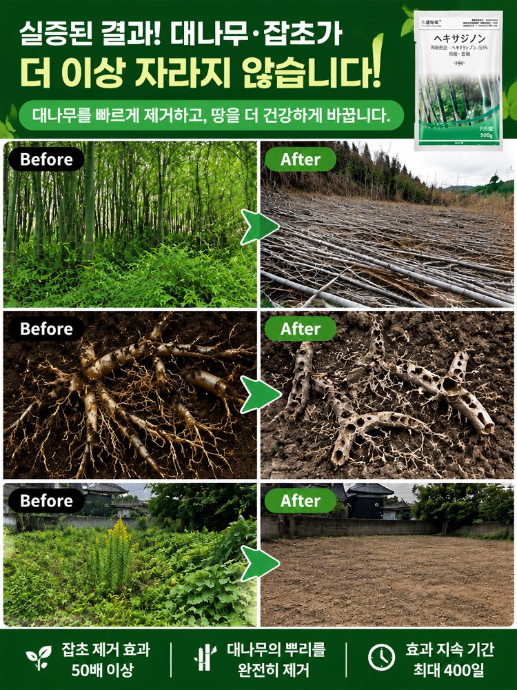 만 묘 황무지 쉽게 해결: 환진톤 원예 관리
