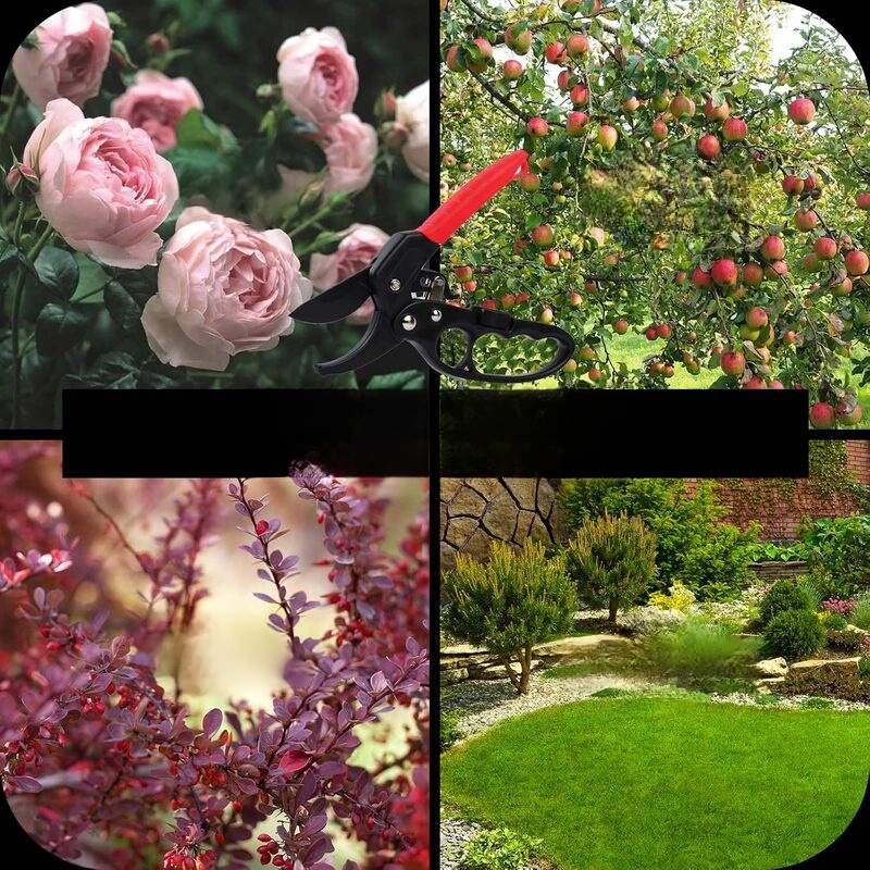 Stainless steel pruning shears for pruning branches