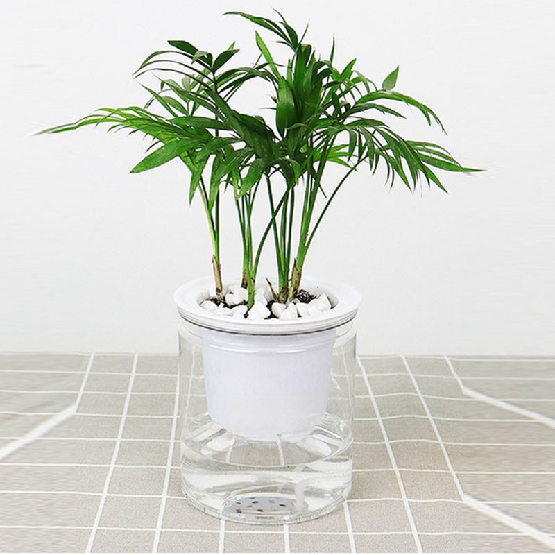 자동 급수 투명 플라워팟