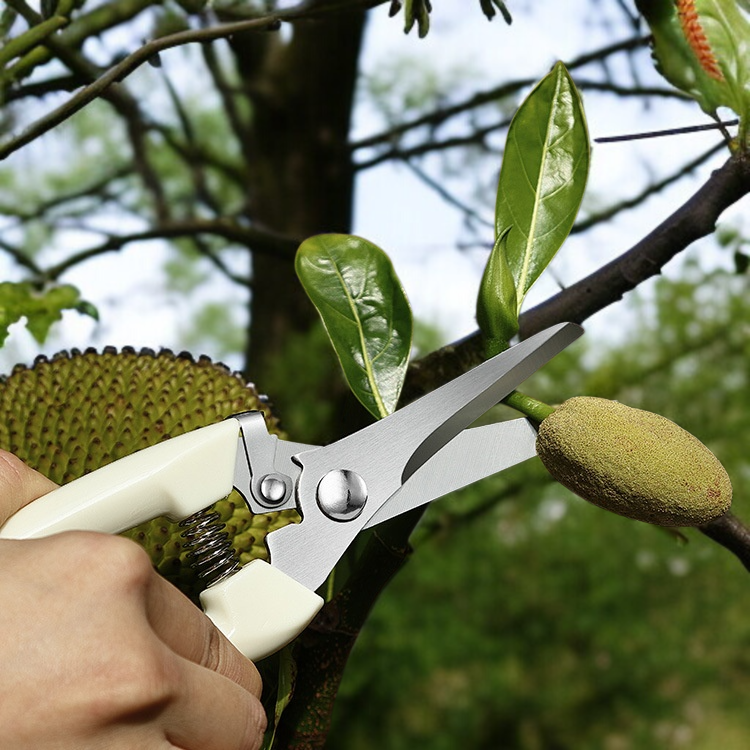庭木剪定鋏 ガーデニング鋏 ガーデンフルーツ摘み取りハンドツール ガーデンツールフルセット