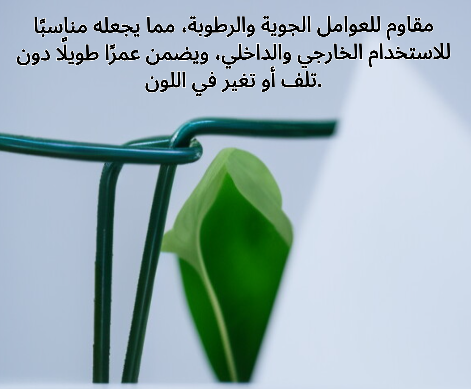 حامل نبات دائري قوي لدعم سيقان النباتات