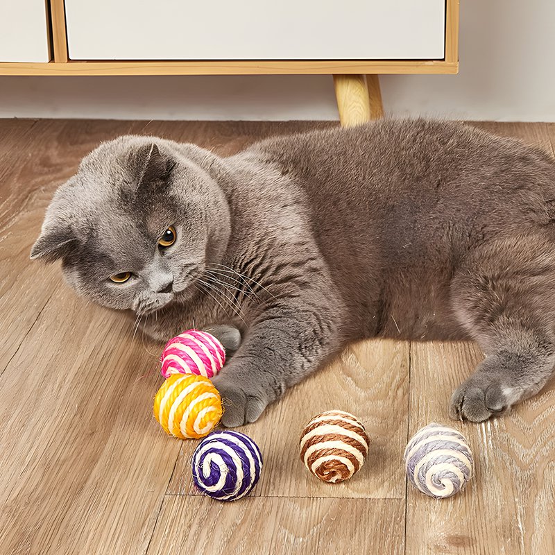 장난감 공 모양 고양이 장난감