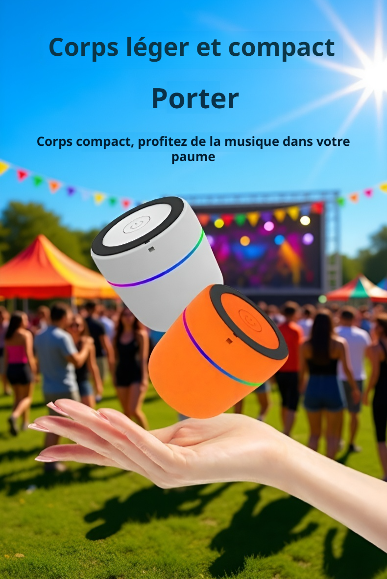 Utilisation de l'enceinte portable lors d'un pique-nique