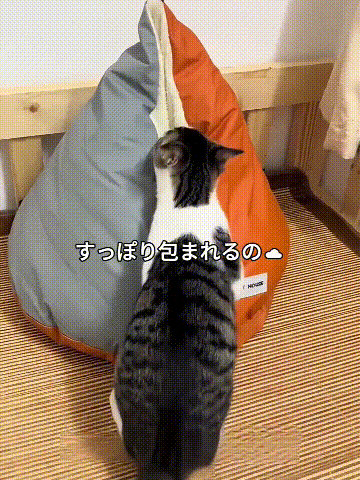 TikSave.io_769424357180027154.gif