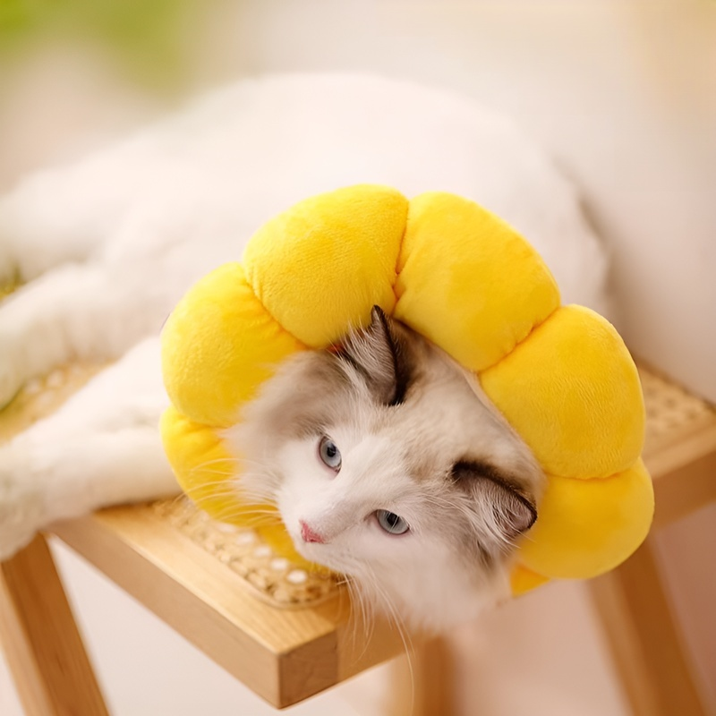 แถบคาดศีรษะและปลอกคอที่นุ่มขึ้น ป้องกันการกัดและเลีย