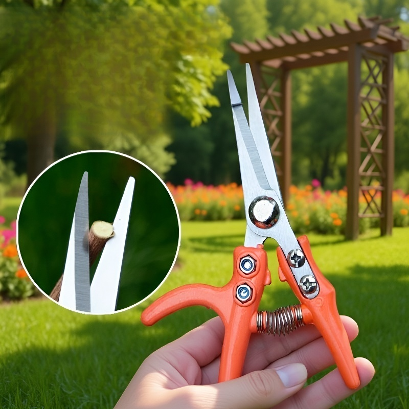 การทำสวน การต่อกิ่ง การตัดแต่งกิ่ง