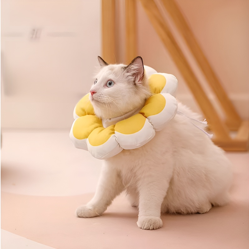 แถบคาดศีรษะและปลอกคอที่นุ่มขึ้น ป้องกันการกัดและเลีย