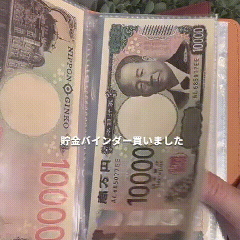 ワニ革風合いの紙幣収納ブック