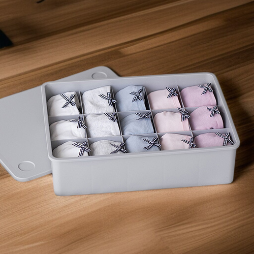 Essential Makeup Organizer and Underwear Storage for Dorms