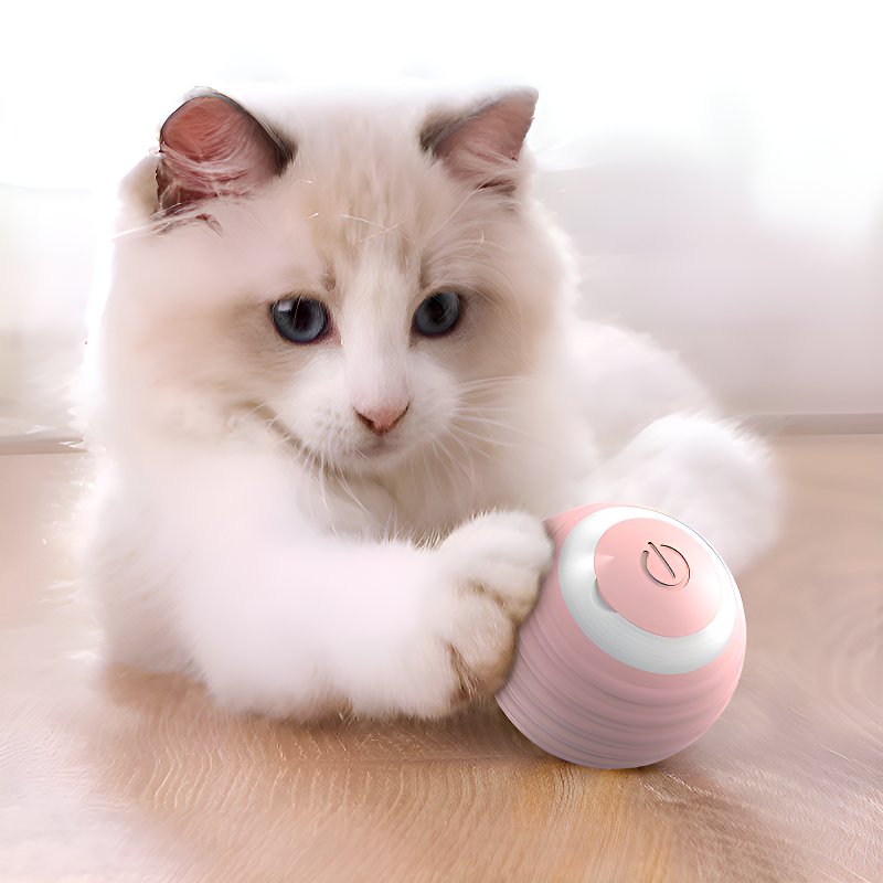 Jouet magnétique intelligent pour chat, balle interactive rechargeable