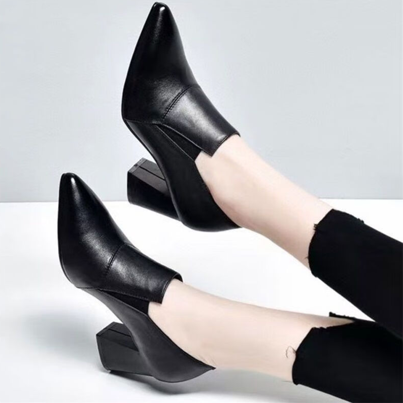 Pointed Toe Chunky Heel Pumps