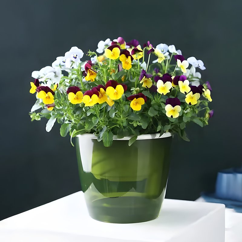 게으른 사람은 스스로 물을 준다 화분 화분