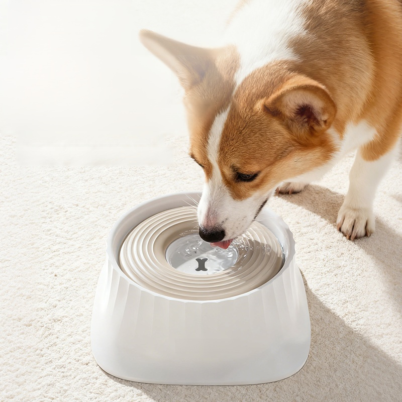 Pet slow food bowl