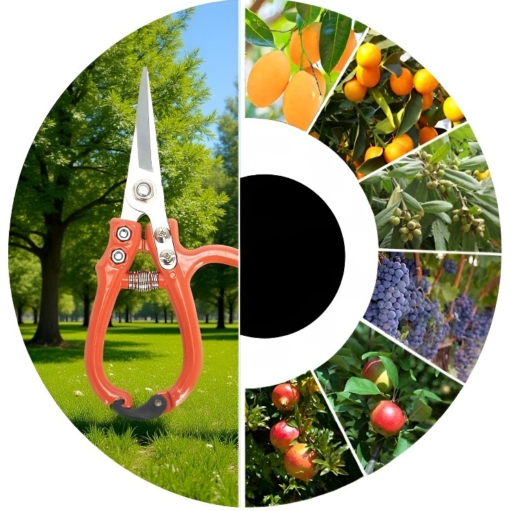 การทำสวน การต่อกิ่ง การตัดแต่งกิ่ง