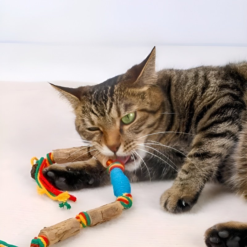 猫用インタラクティブおもちゃ シルバーバインボールロープ