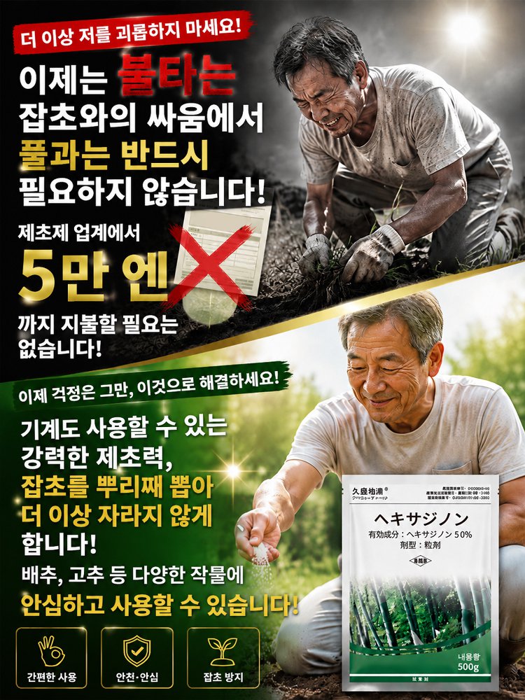 만 묘 황무지 쉽게 해결: 환진톤 원예 관리