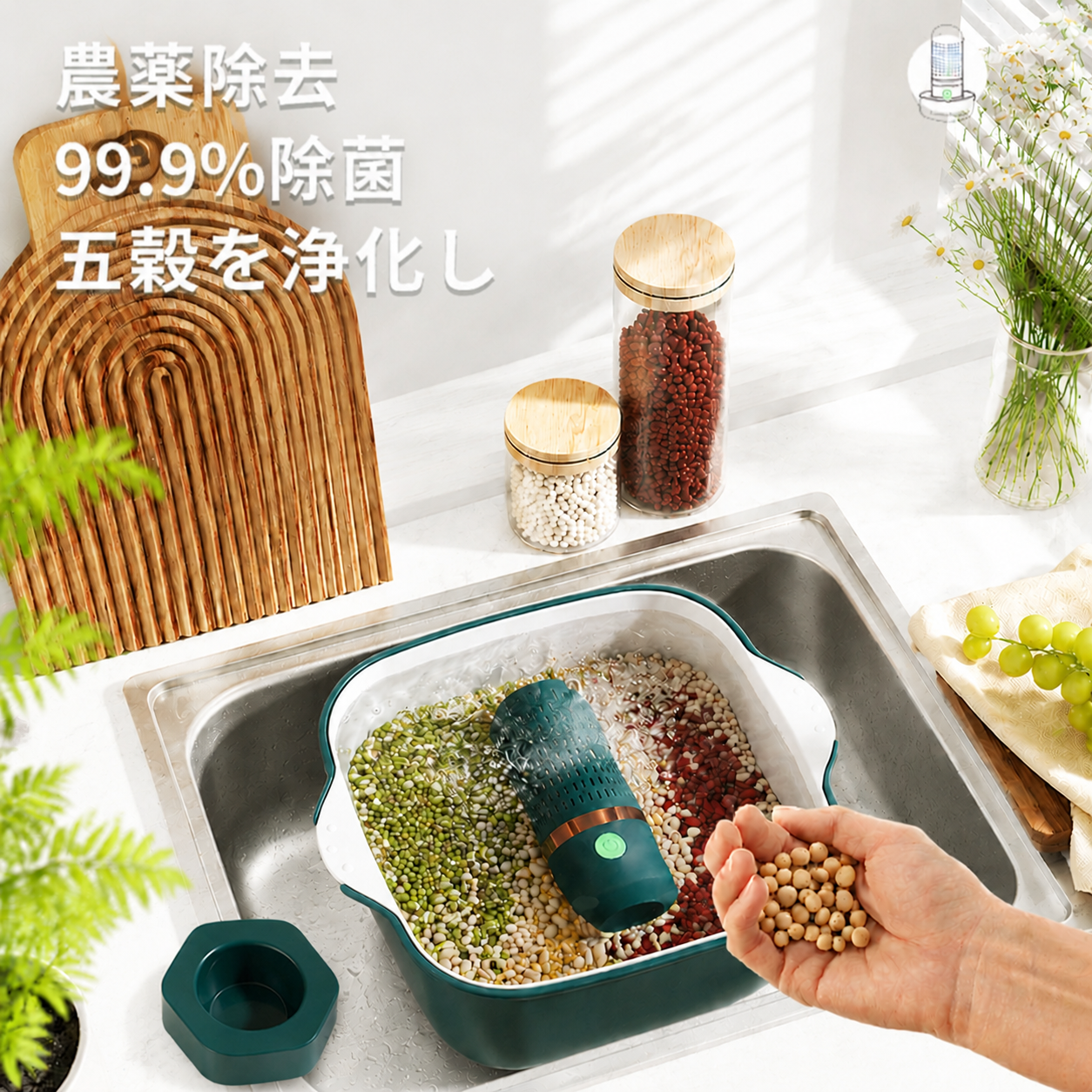 野菜と果物の殺菌・農薬除去洗浄機