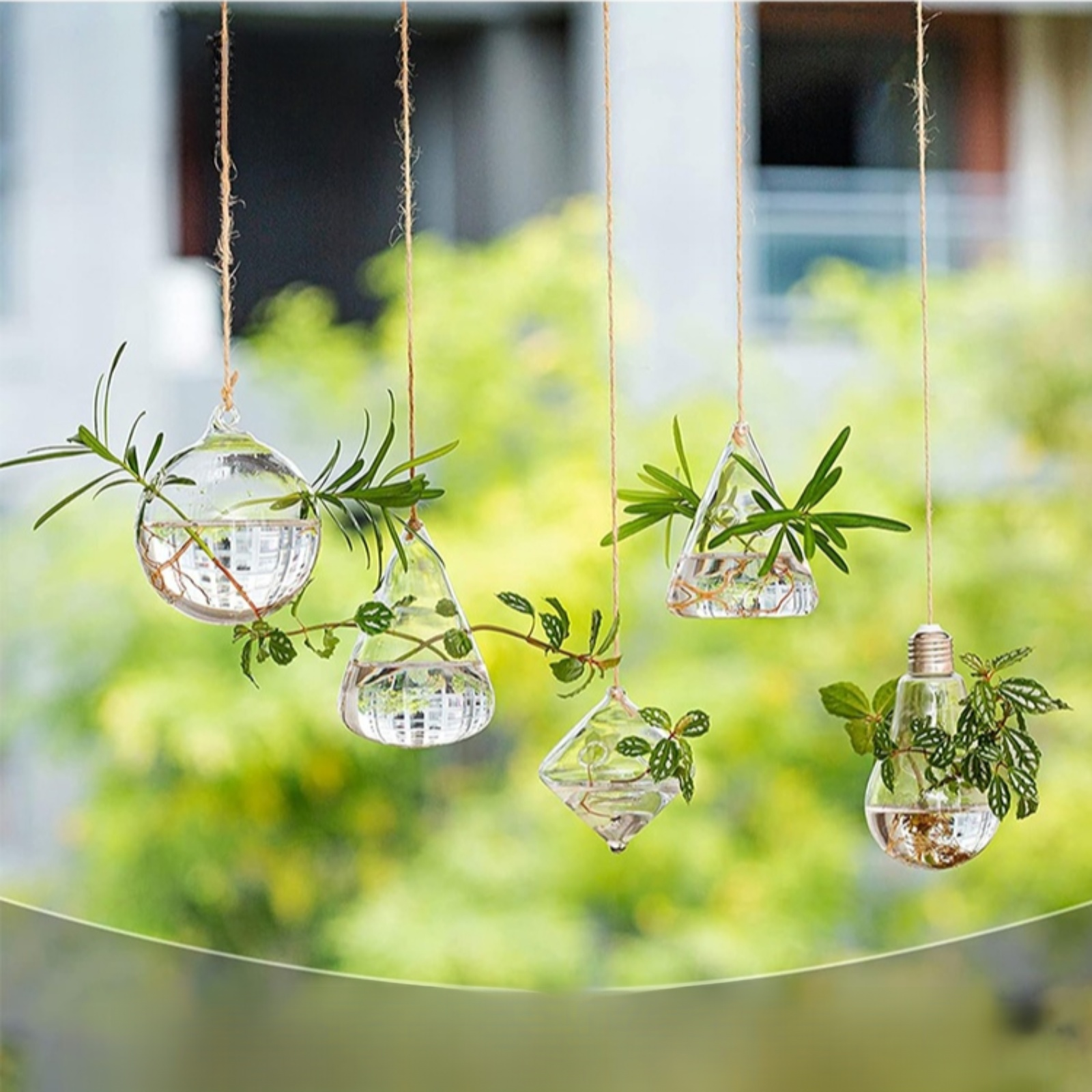 Récipient suspendu pour fleurs hydroponiques