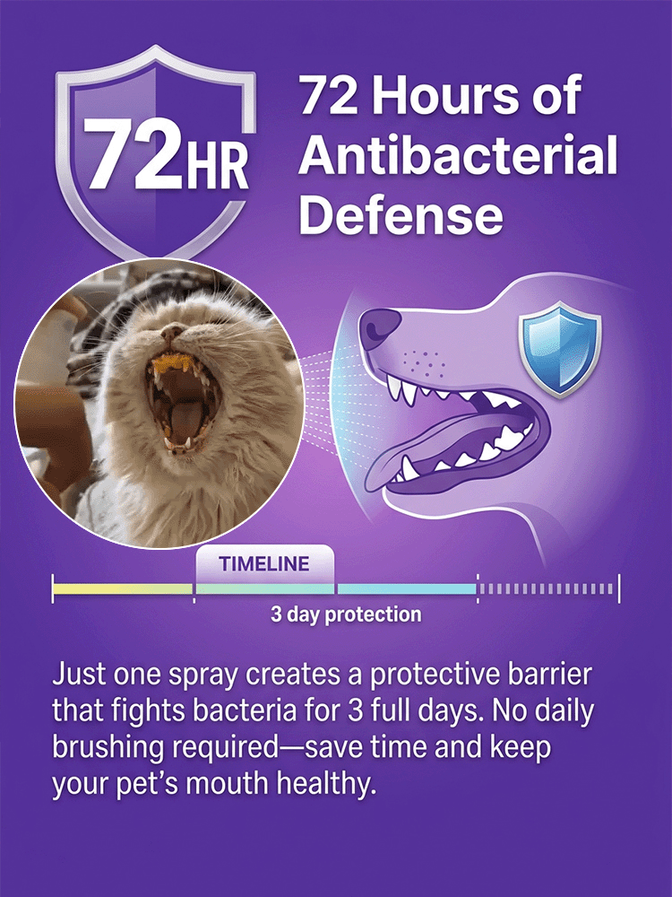 Pet Oral Care Spray