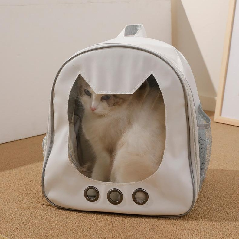 대용량 반투명 고양이 얼굴 반려동물 백팩 휴대용 이동가방