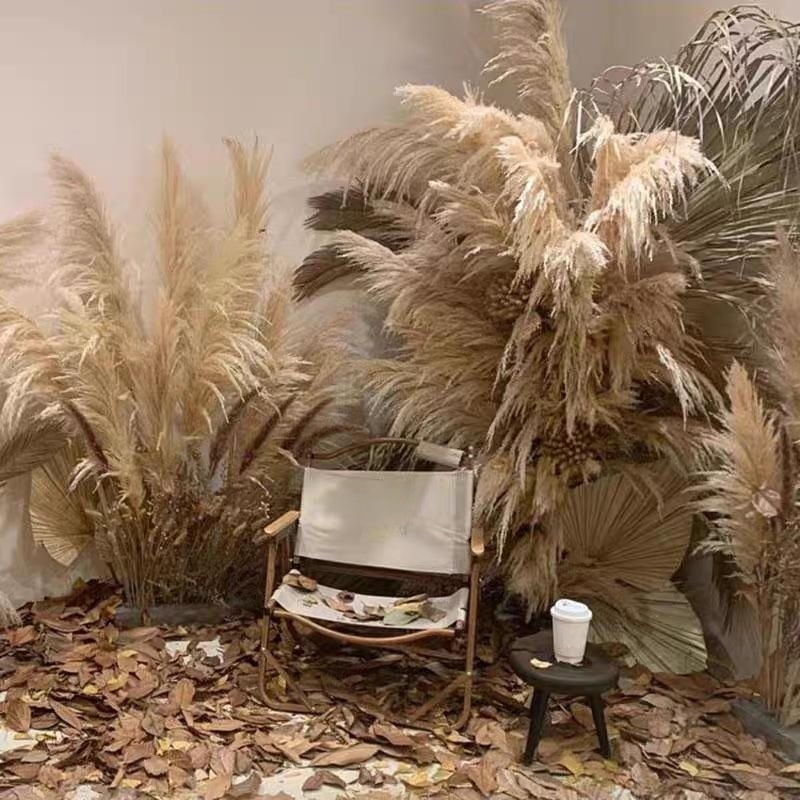 갈대 드라이 플라워 결혼식 창문 장식