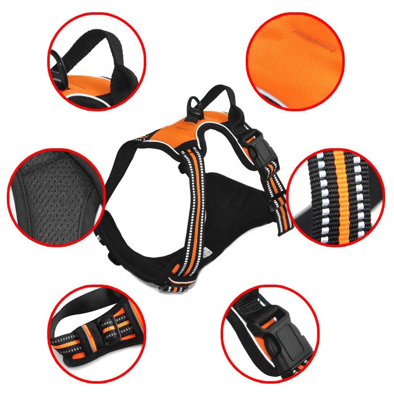 สายจูงสุนัขสำหรับปลอกคอ