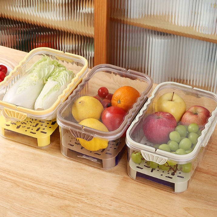 手提野餐水果保鲜盒