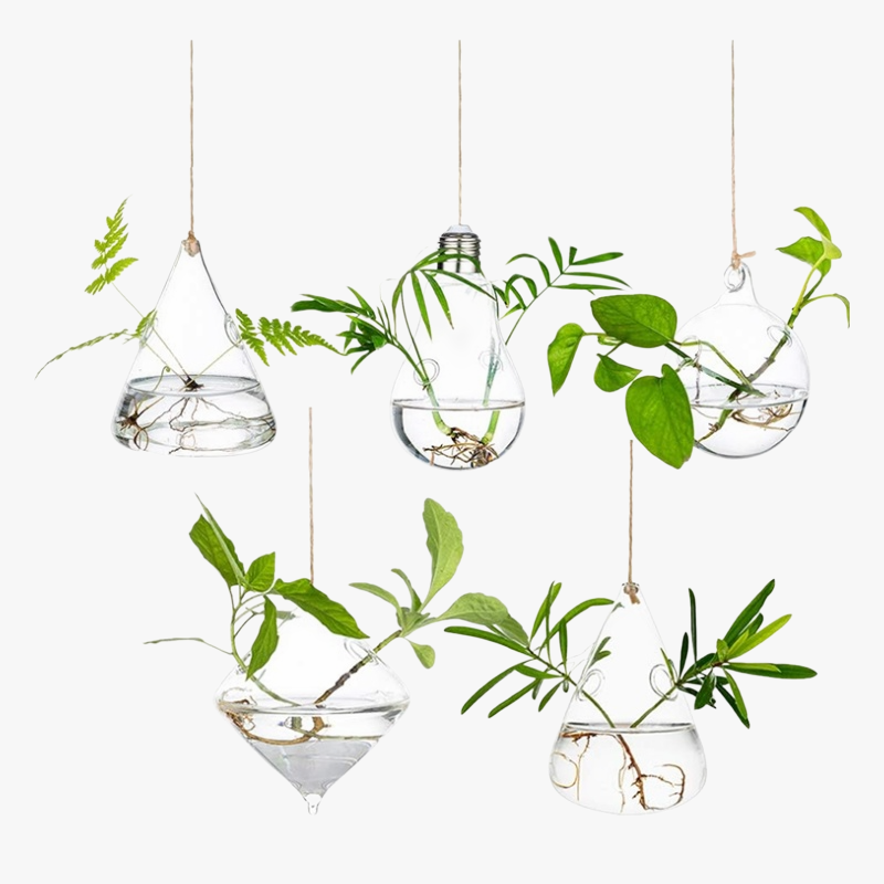 Récipient suspendu pour fleurs hydroponiques