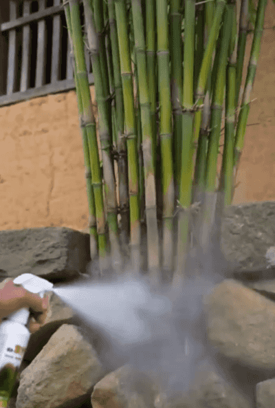 94635f8629462127e4dd1a829469fe45.gif