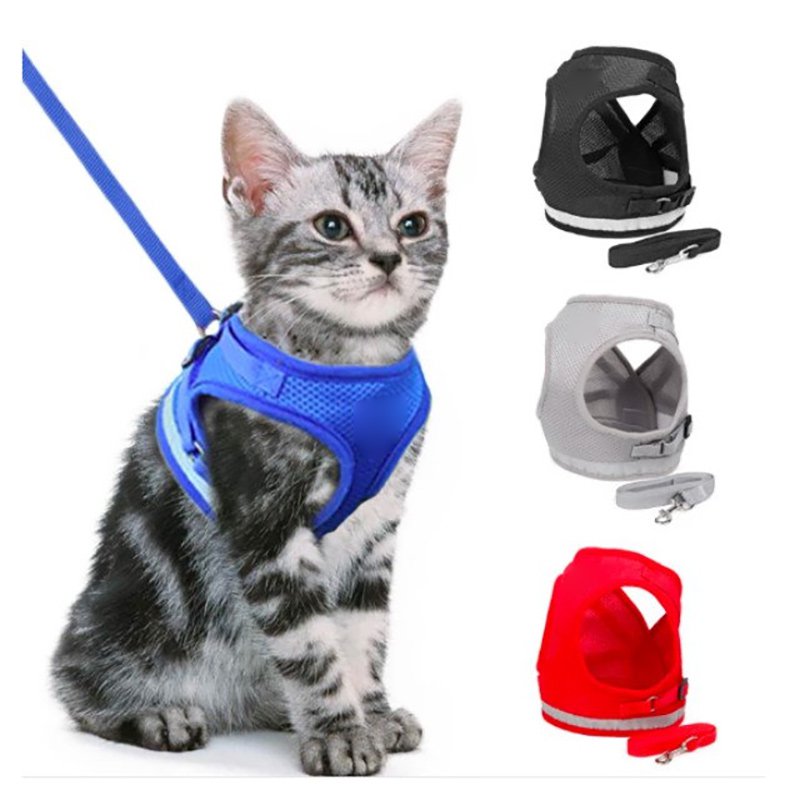 ปลอกคอสุนัข