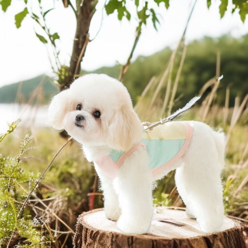 เสื้อกั๊กสุนัขระบายอากาศป้องกันแสงแดด