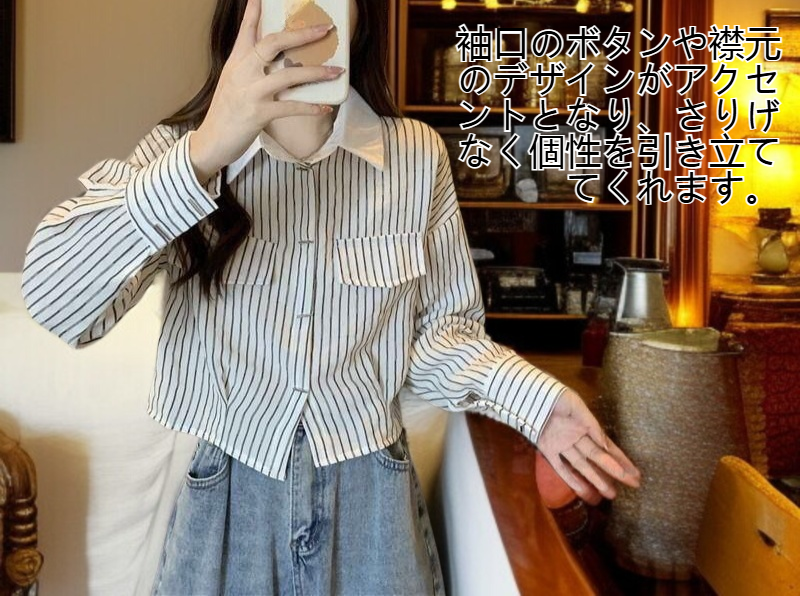 レディースストライプ長袖シャツ全体画像