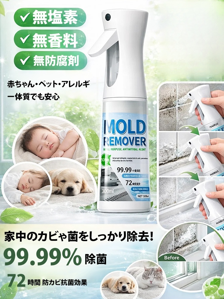 【日本公営住宅管理センターより年間推奨住宅防護商品に指定されました】超強力カビ取り・補修スプレー