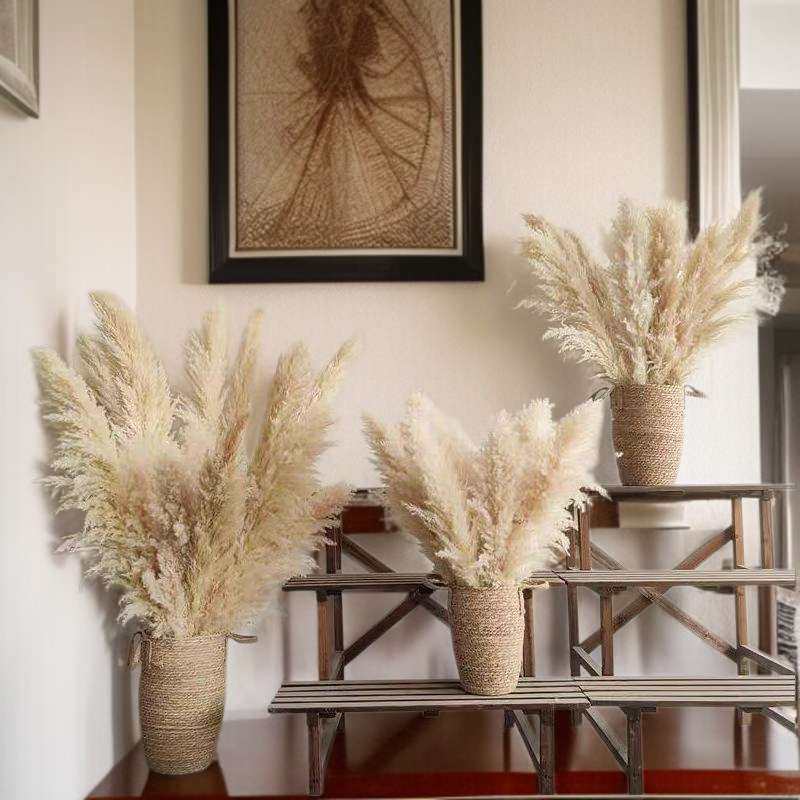 ريد زهرة حقيقية الزهور المجففة الديكور