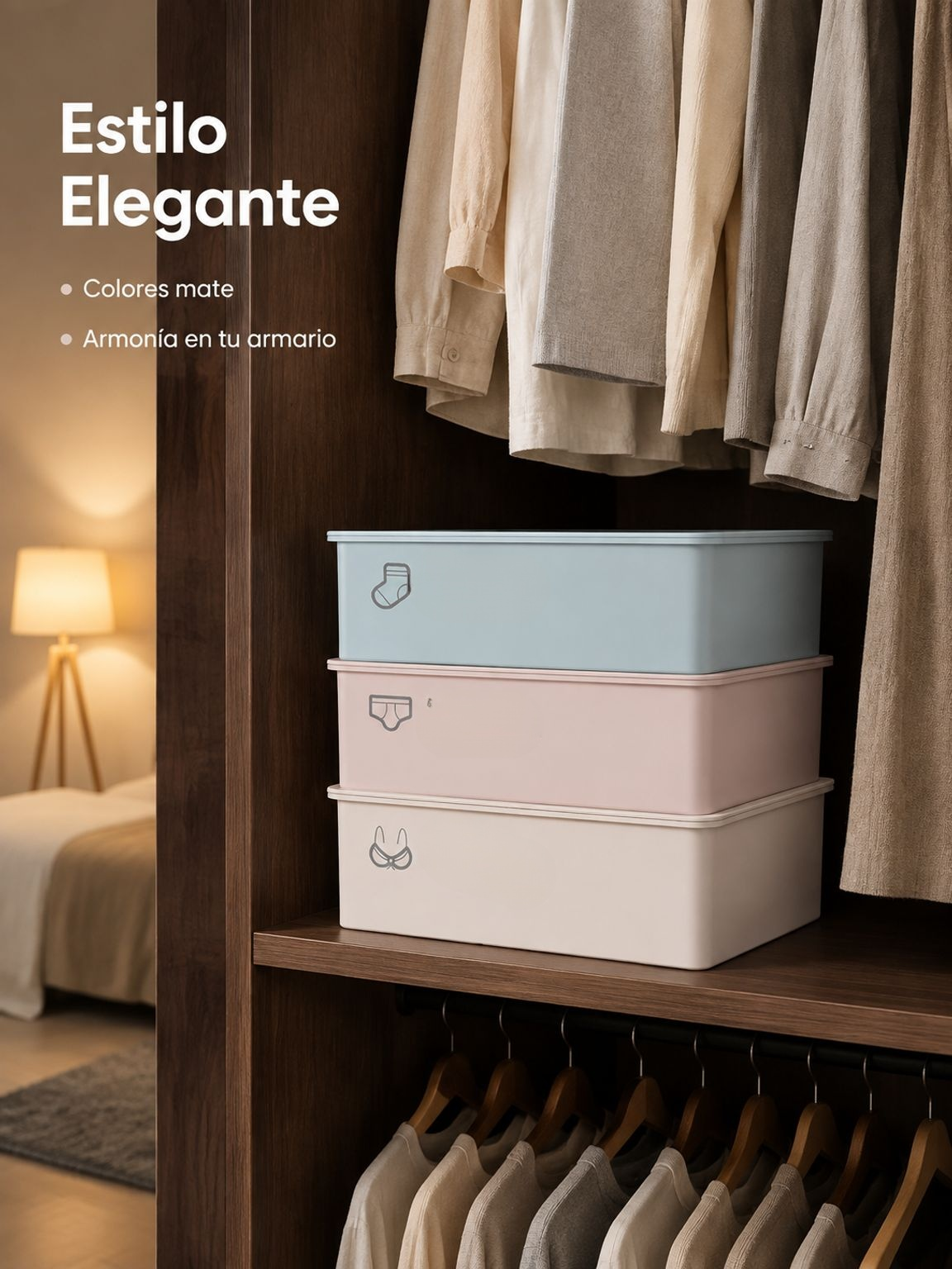 Organizador de caja para ropa interior y calcetines