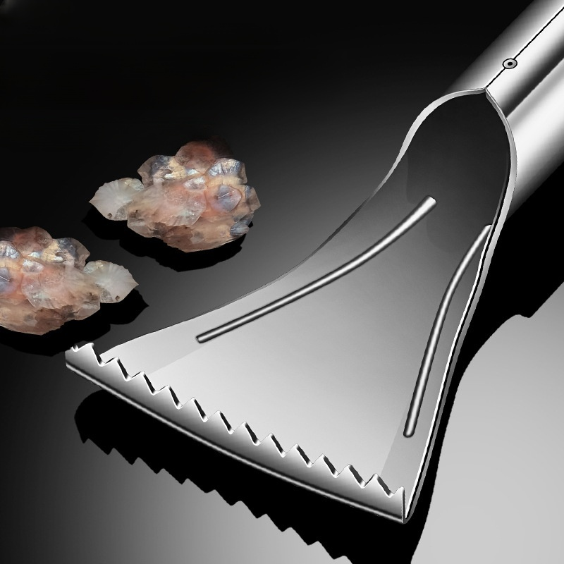 ที่ขูดเกล็ดปลาสแตนเลสสำหรับใช้ในบ้าน