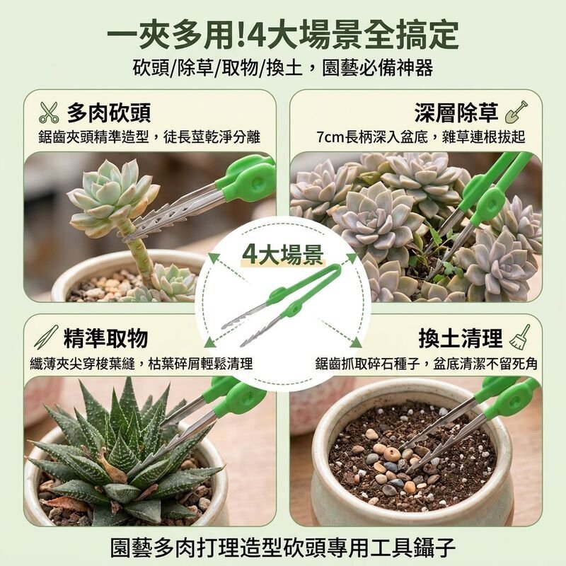 多肉植物或夾取物品的鉗子