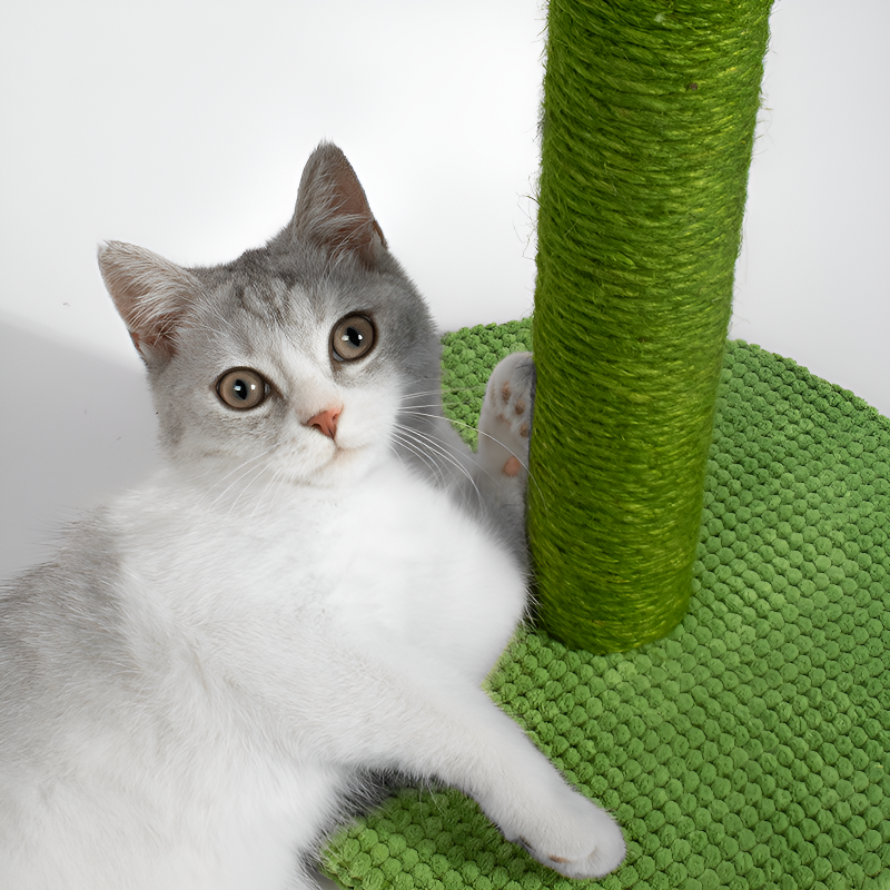 背の高いサイザル麻サボテン型猫用爪とぎ ペット用品
