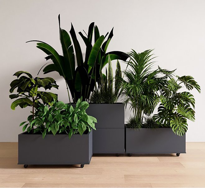 丸い金属製の植木鉢