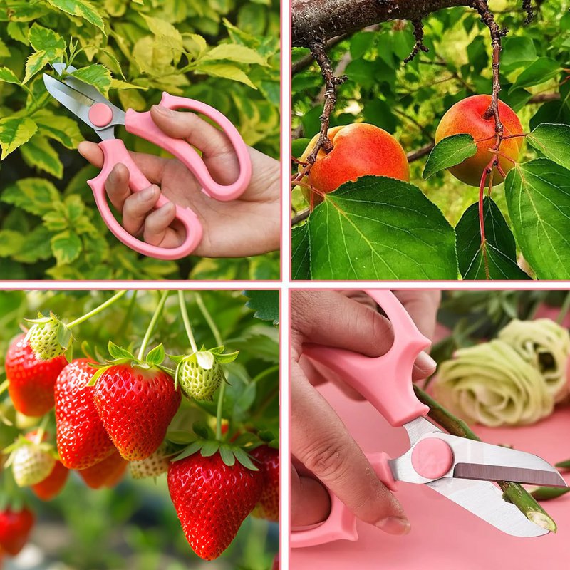 Home bonsai scissors, flower and grass scissors