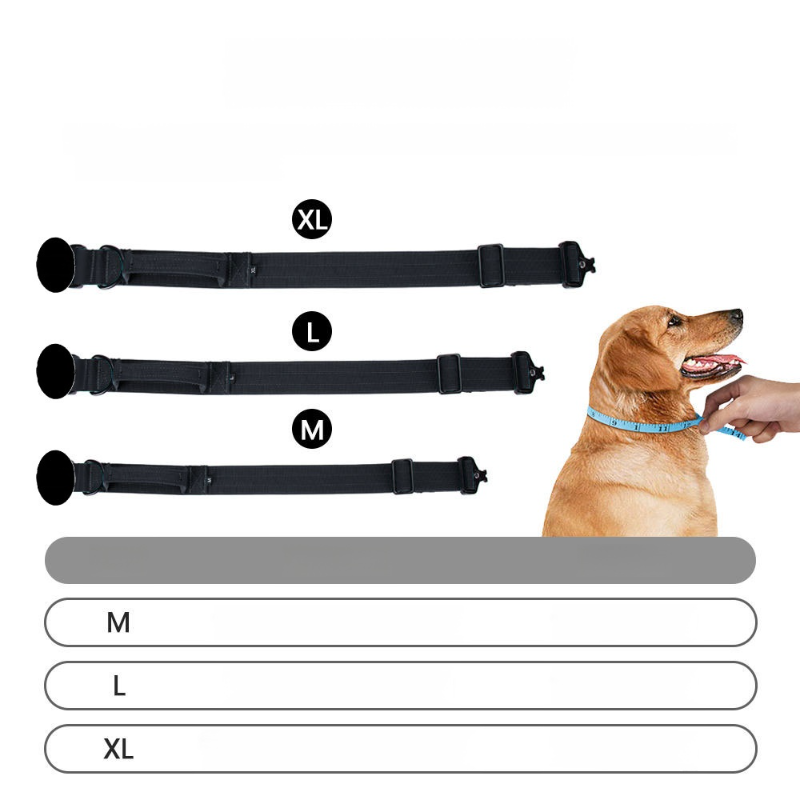 調節可能な金属バックル付きペット用首輪