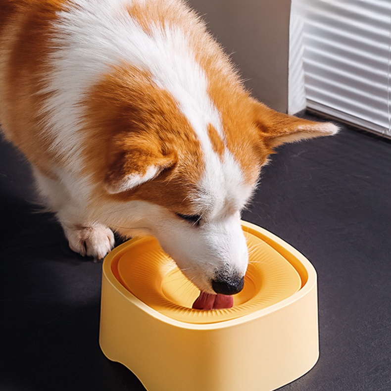 반려동물 플로팅 물그릇, 젖지 않는 고양이 식기