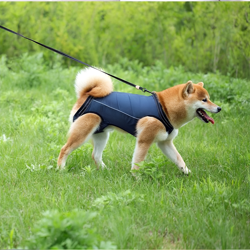 Dog Support Harness for Senior Dogs