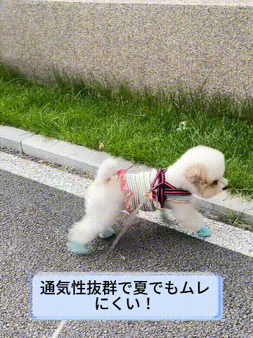 TikSave.io_76603285872404.gif