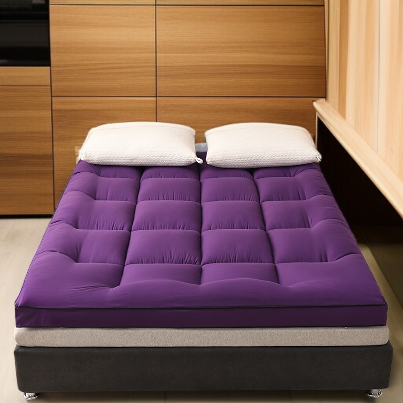 Student Dormitory Single Thickened Feather Velvet Mattress Summer Foldable Tatami Pad