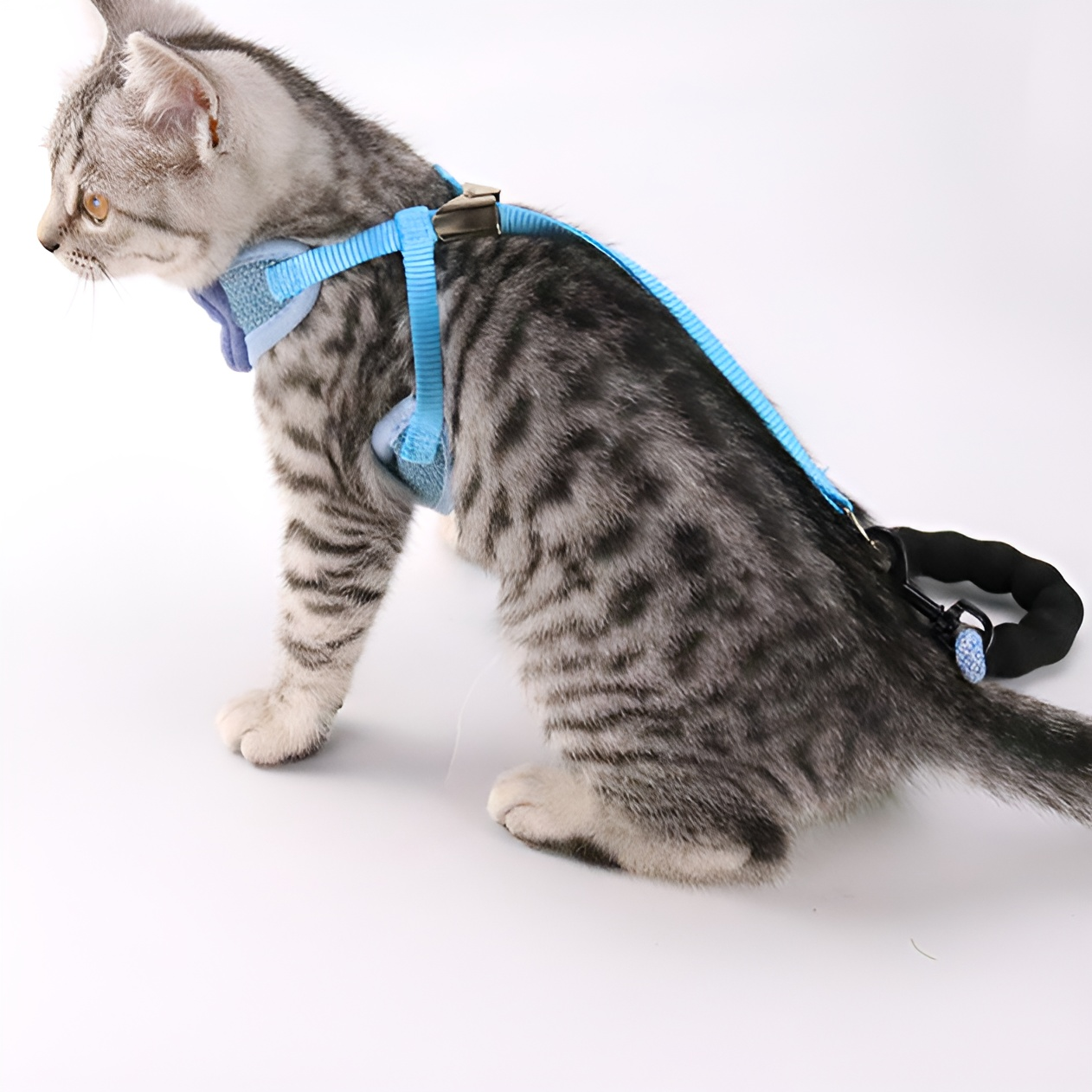 胸と背中を通す猫用散歩リード