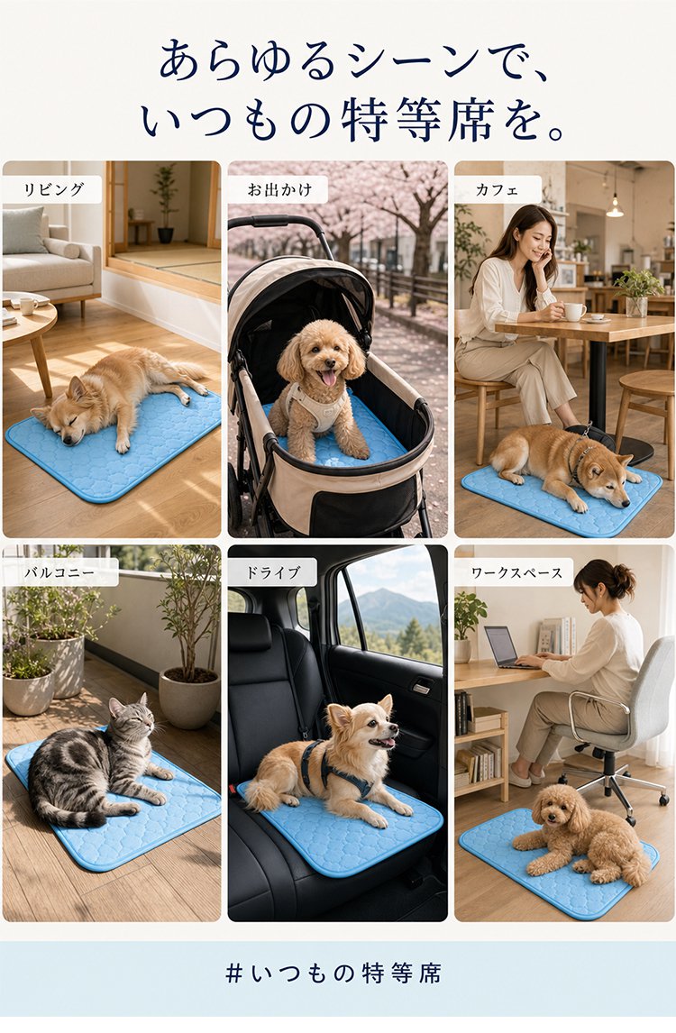 垫子_18.jpg
