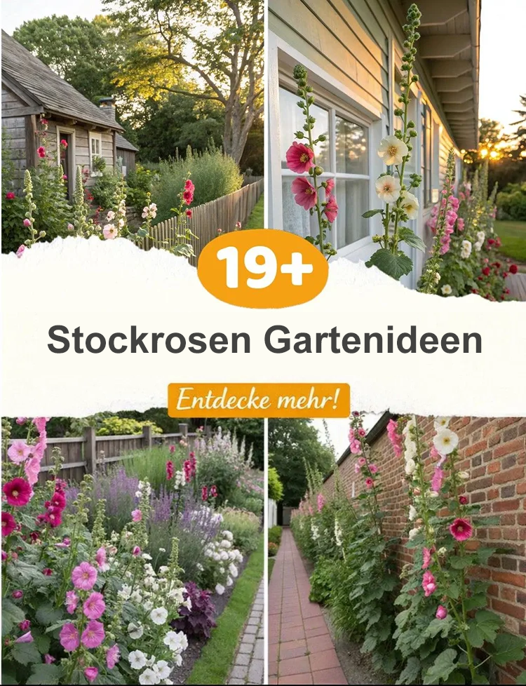 Zier-Stockrosensamen-Mischung