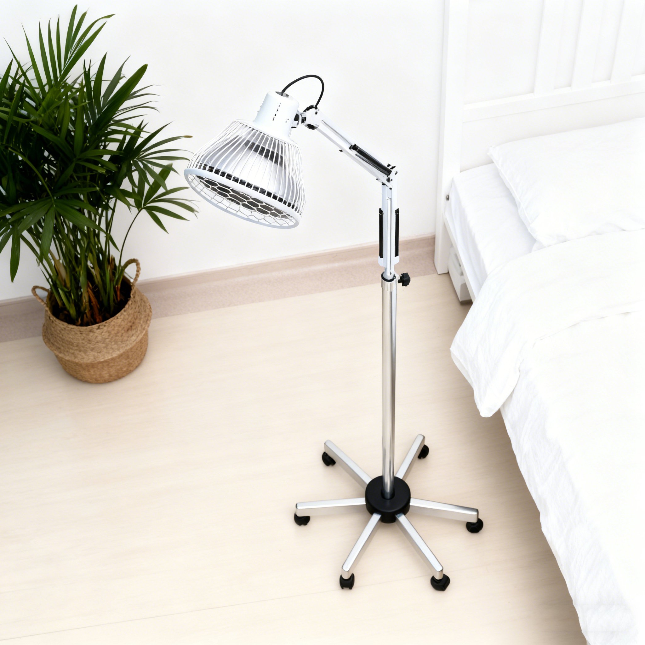 건강 관리 치료등